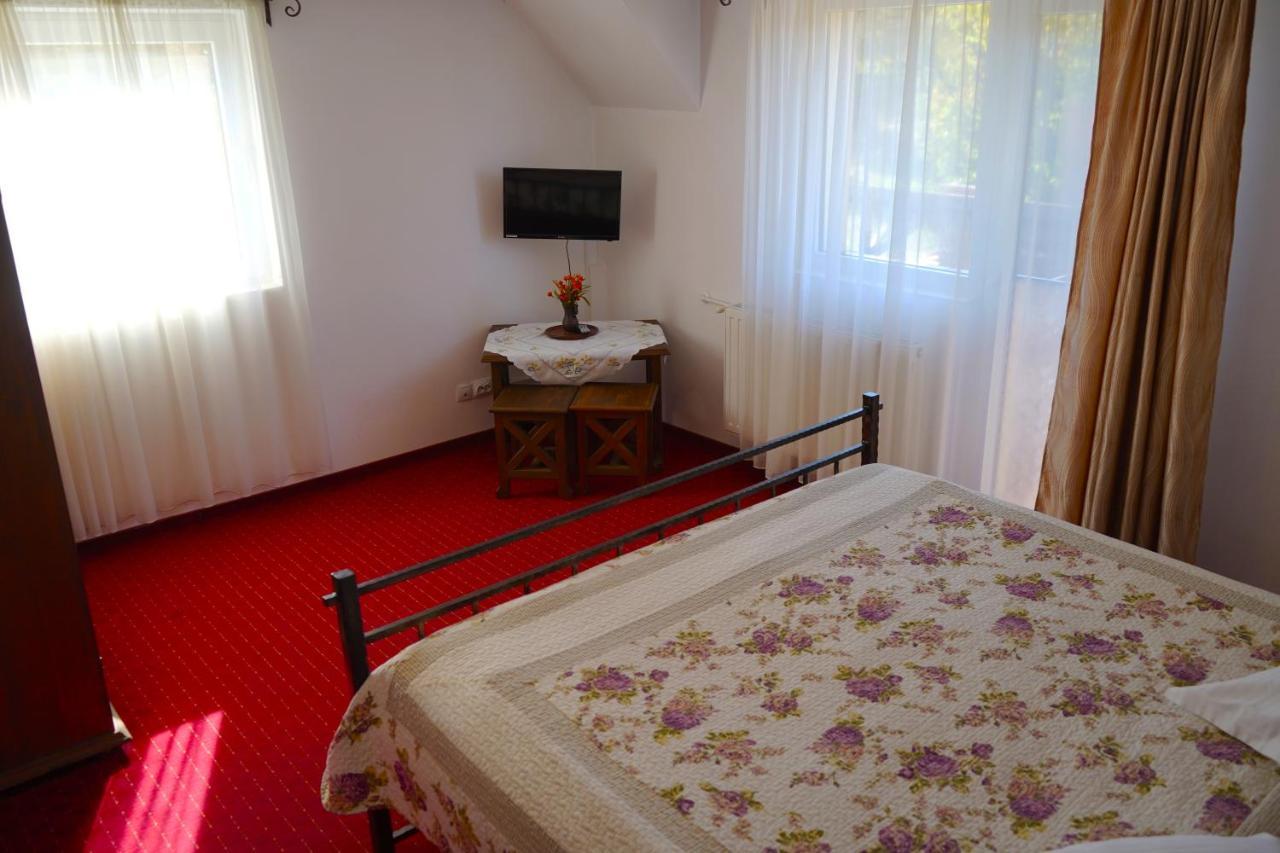 Vila Sohodol Travel Bran  Eksteriør billede